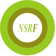 NSR Fashion